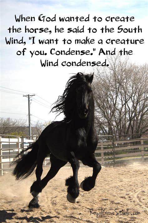 Horse quotes for every occasion .